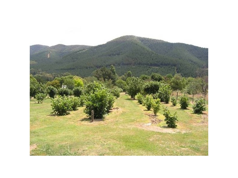 21 School Rd, Wandiligong VIC 3744