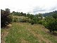 6 Clarkes Lane, Wandiligong VIC 3744