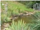 79 Williams Rd, Wandiligong VIC 3744
