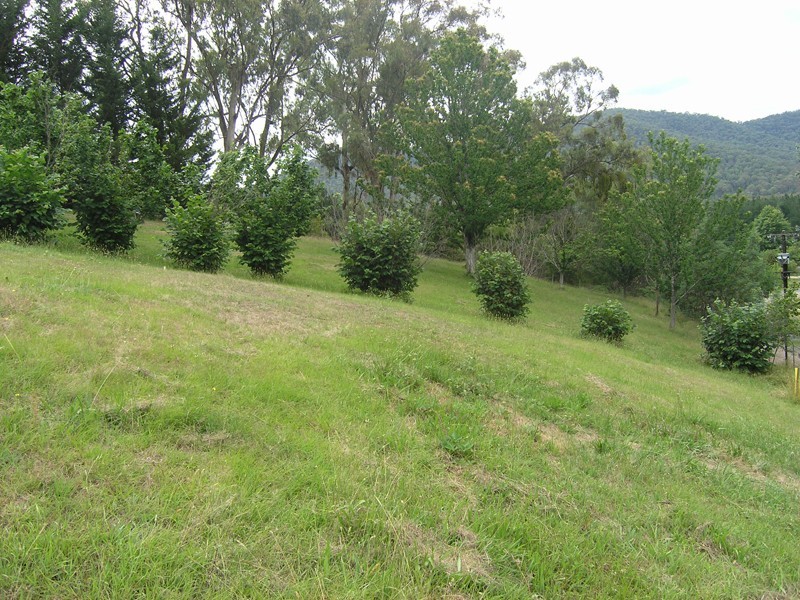Lot 1 Houghs Lane, Bright VIC 3741