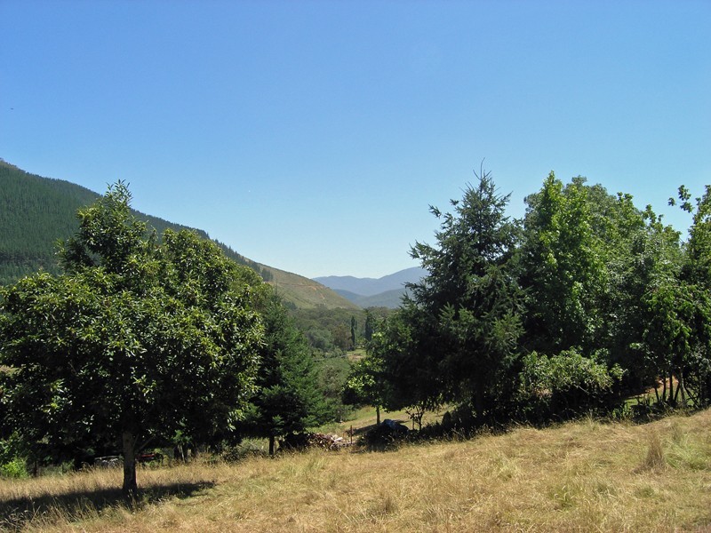 2 School Road, Wandiligong VIC 3744