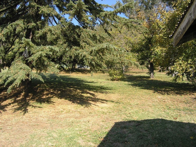 116 Delany Ave, Bright VIC 3741