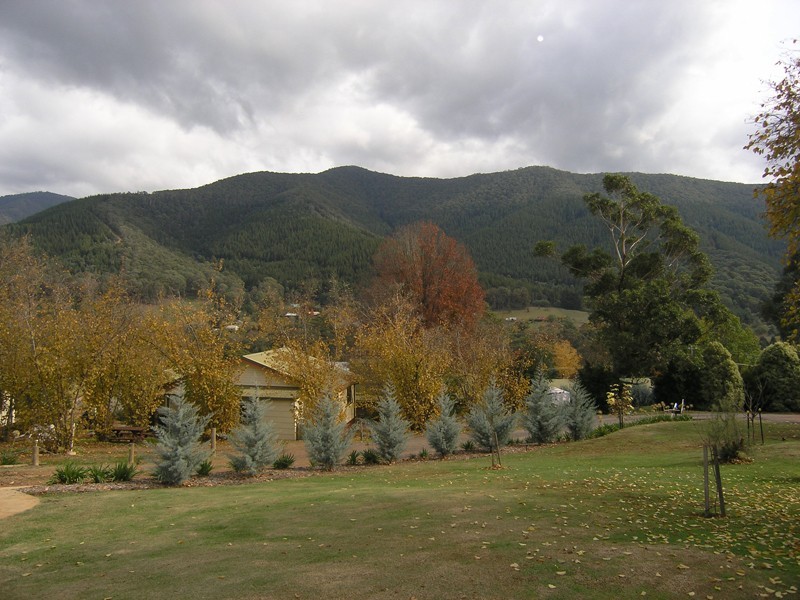 14 Long Tunnel Track, Wandiligong VIC 3744