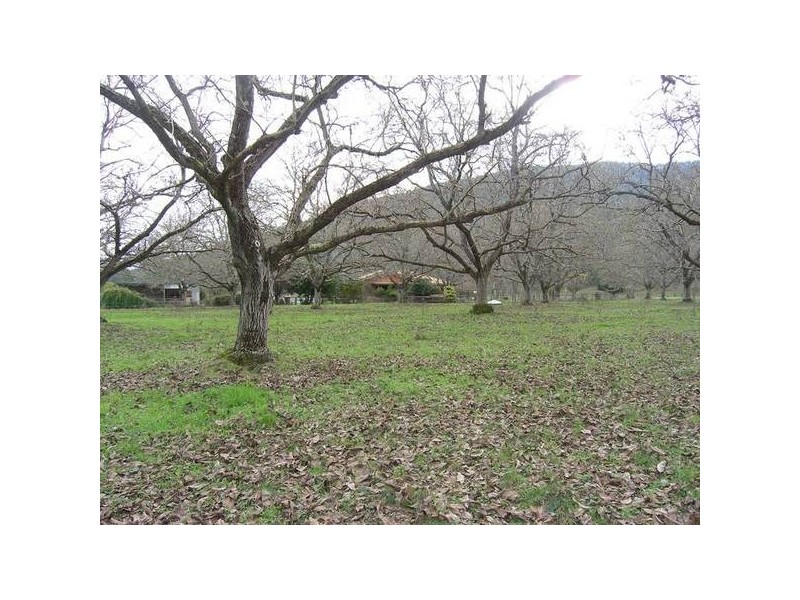 251 Tawonga Rd, Bright VIC 3741