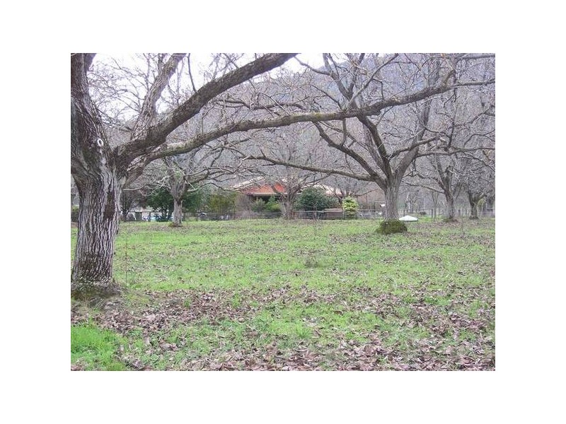 251 Tawonga Rd, Bright VIC 3741