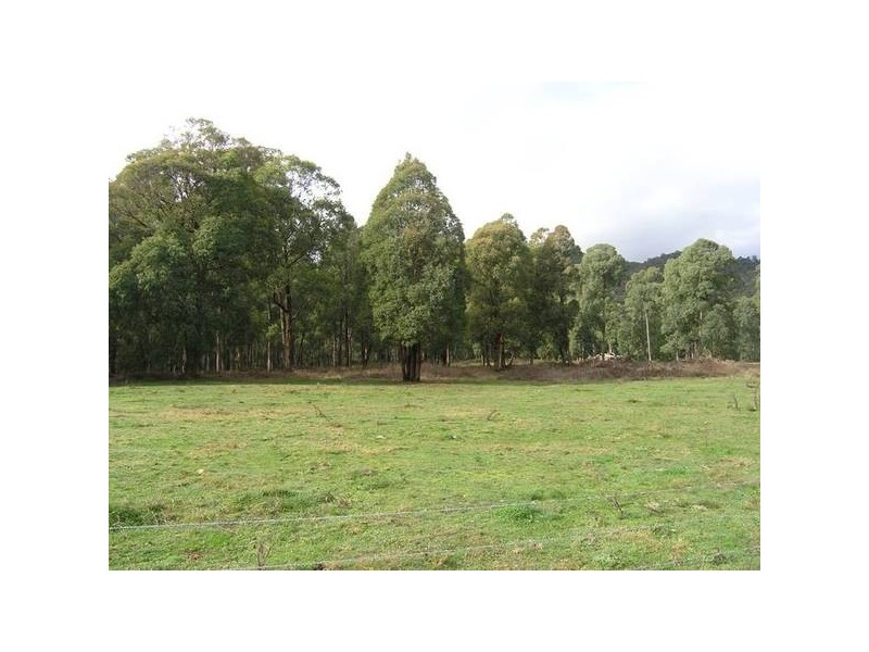Austins Lane, Wandiligong VIC 3744