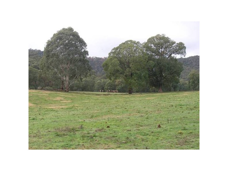 Austins Lane, Wandiligong VIC 3744