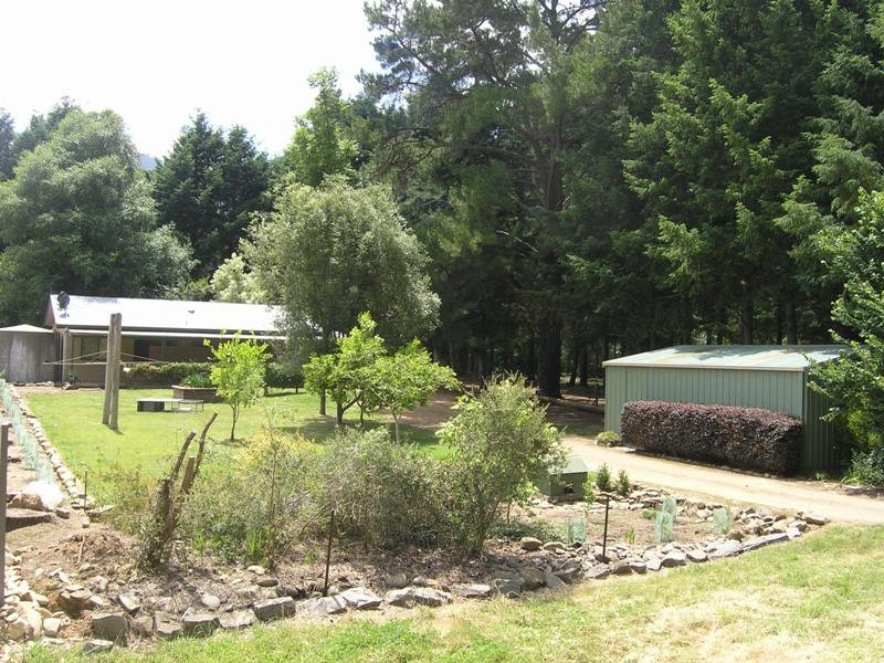 943 Great Alpine Rd, Freeburgh VIC 3741
