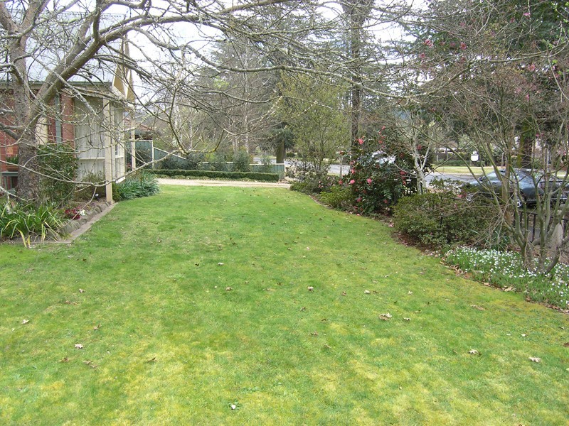 98 Delany Avenue, Bright VIC 3741