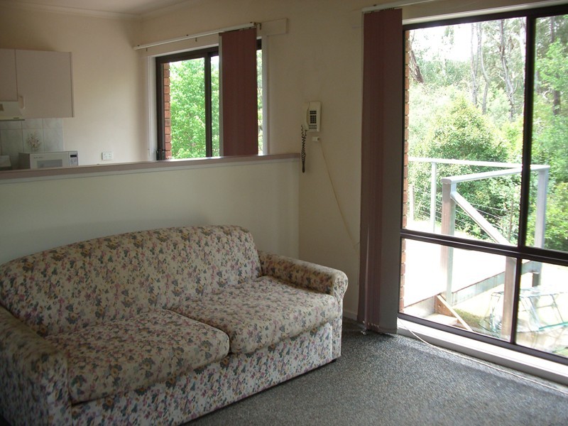 2/4 Mystic Lane, Bright VIC 3741