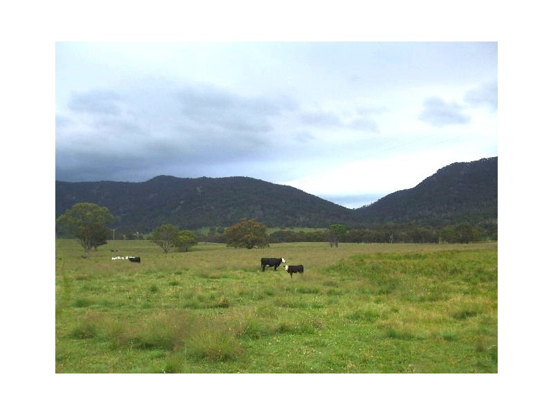 157 Kellys Road, Tenterfield NSW 2372