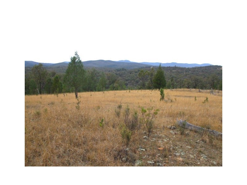 6 Mountain Creek Road, Tenterfield NSW 2372