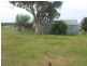 Tenterfield NSW 2372