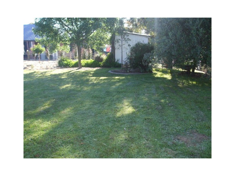 Tenterfield NSW 2372