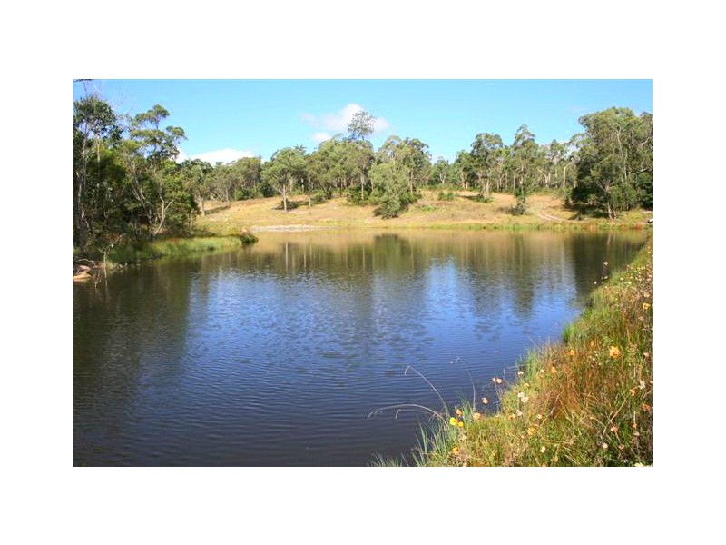 Tenterfield NSW 2372