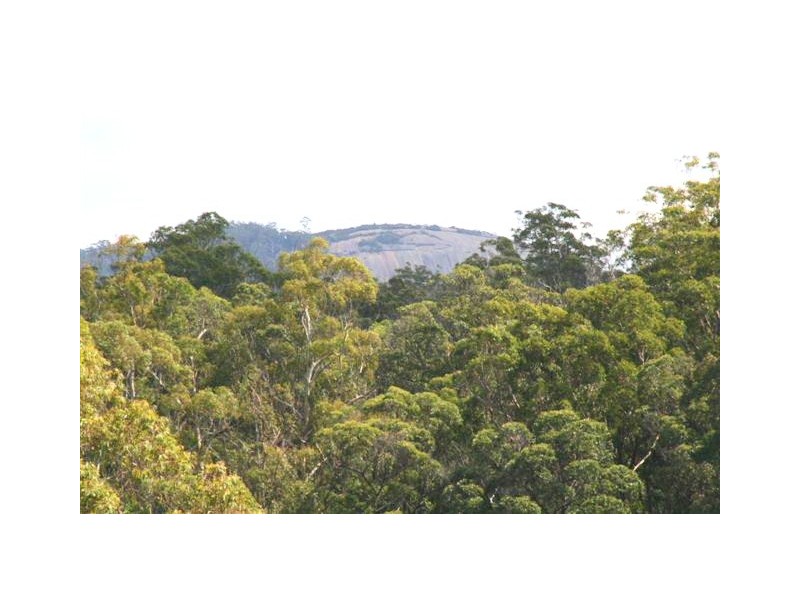 Tenterfield NSW 2372