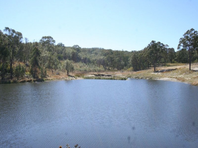 Tenterfield NSW 2372