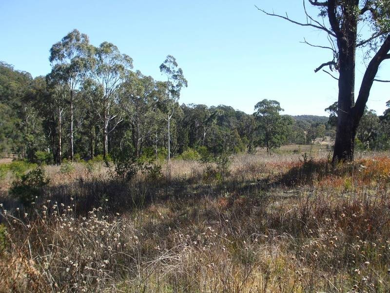 Tenterfield NSW 2372