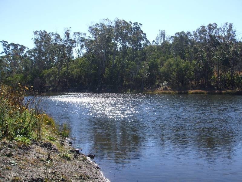 Tenterfield NSW 2372