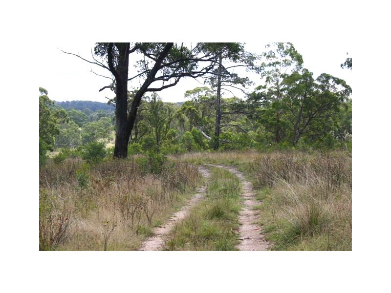 Tenterfield NSW 2372