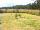 461 Mt Lindesay Road, Tenterfield NSW 2372