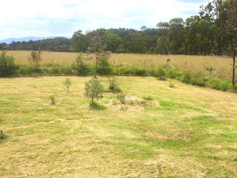 461 Mt Lindesay Road, Tenterfield NSW 2372