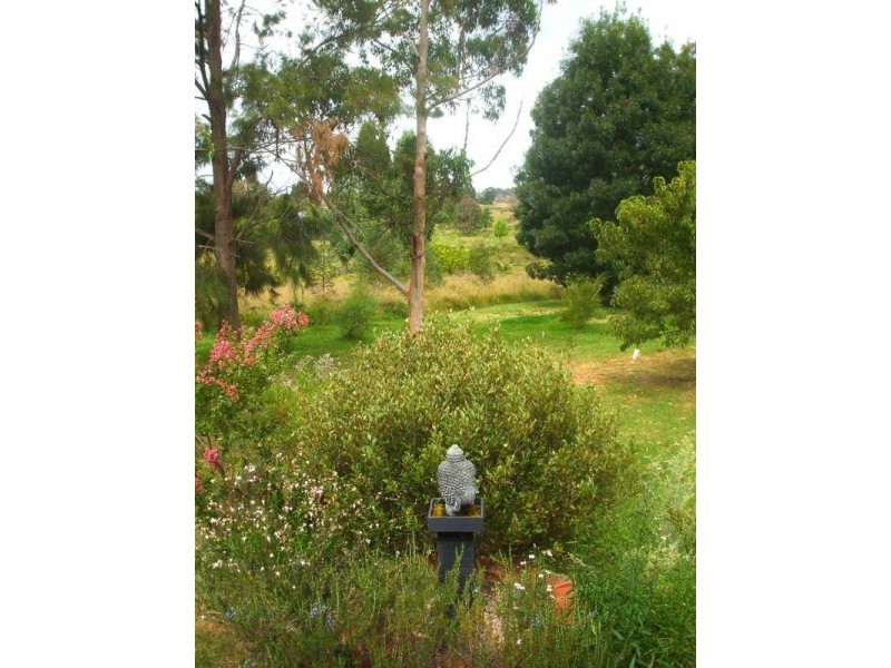 461 Mt Lindesay Road, Tenterfield NSW 2372