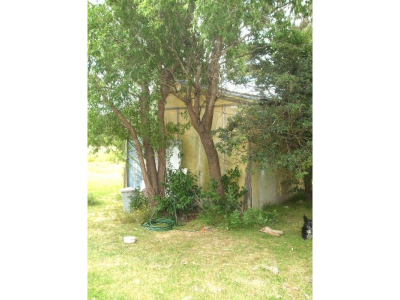 461 Mt Lindesay Road, Tenterfield NSW 2372