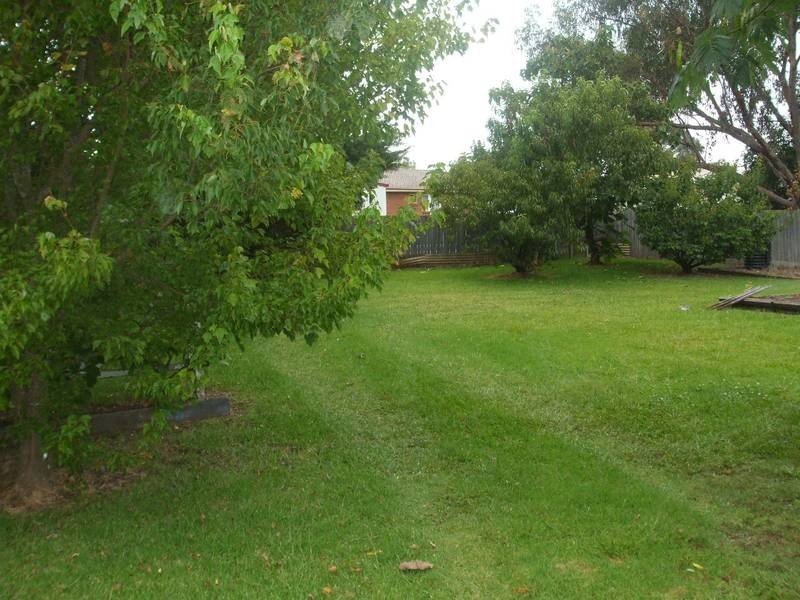 199 Logan Street, Tenterfield NSW 2372