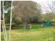 Tenterfield NSW 2372