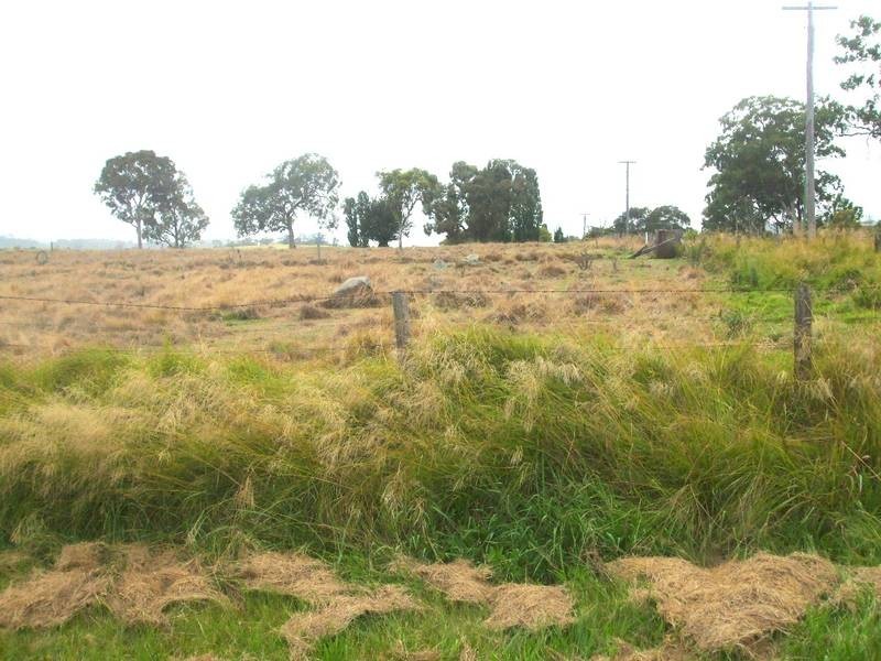 Tenterfield NSW 2372