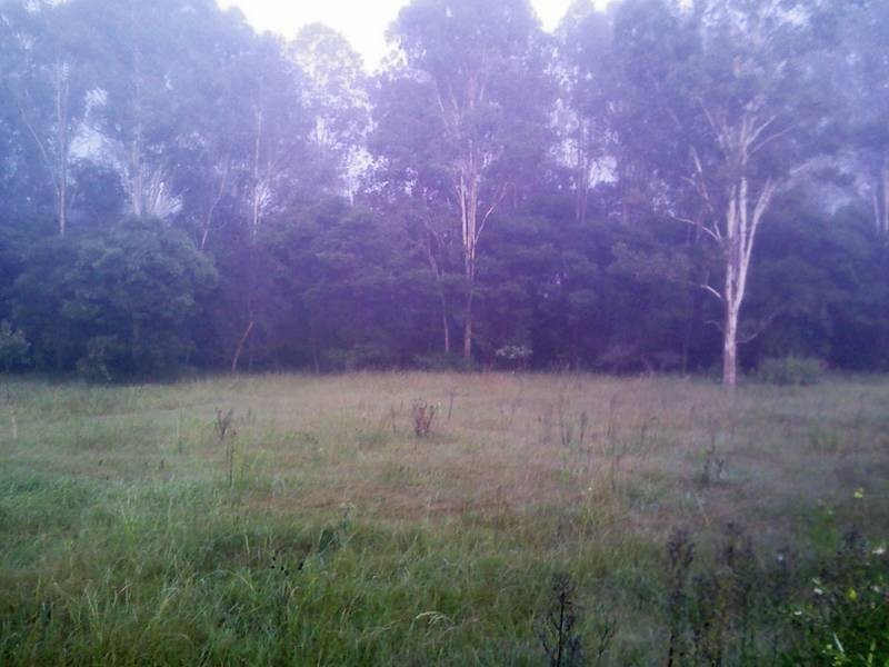 Tabulam NSW 2469