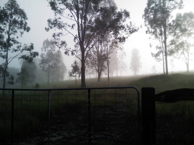 Tabulam NSW 2469