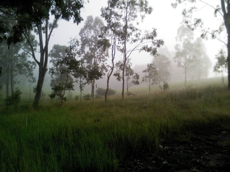 Tabulam NSW 2469