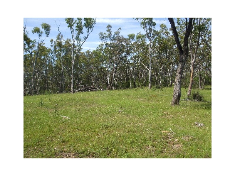 Tenterfield NSW 2372