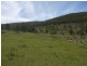 Tenterfield NSW 2372