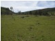 Tenterfield NSW 2372
