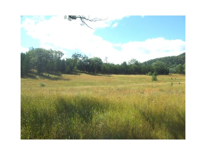 Tenterfield NSW 2372