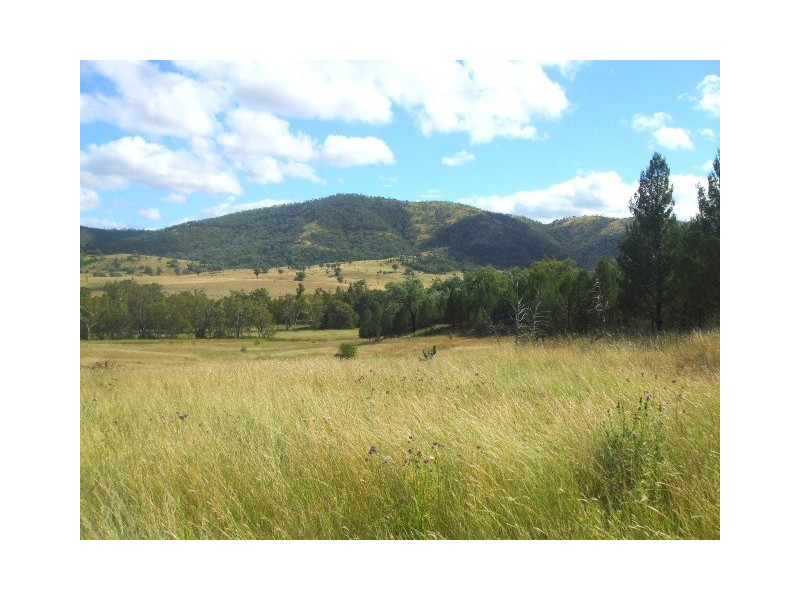 Tenterfield NSW 2372