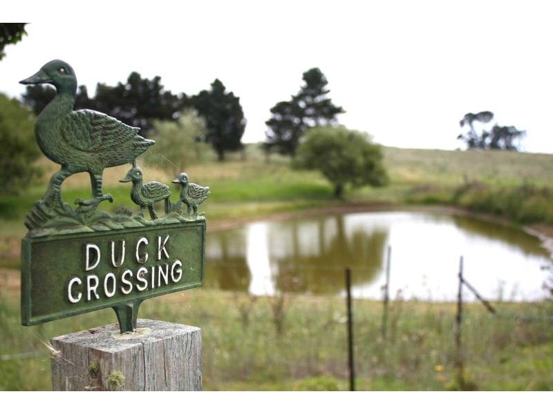 Tenterfield NSW 2372