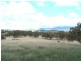 2 Bruxner Highway, Tenterfield NSW 2372