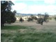 2 Bruxner Highway, Tenterfield NSW 2372