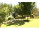 Tenterfield NSW 2372