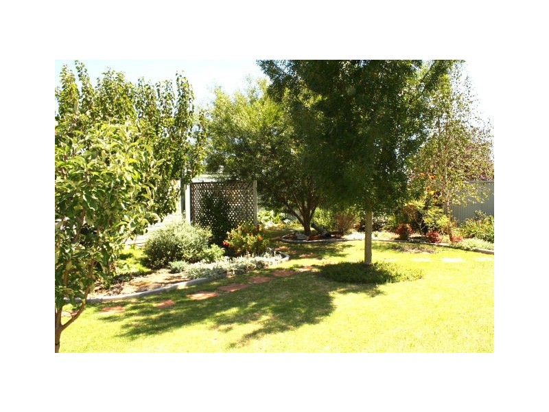 Tenterfield NSW 2372