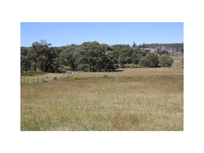 Tenterfield NSW 2372