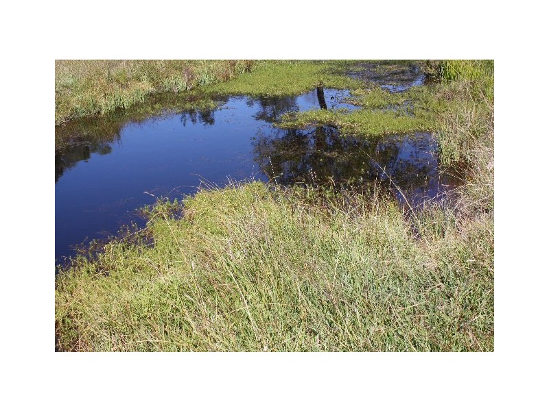 Tenterfield NSW 2372