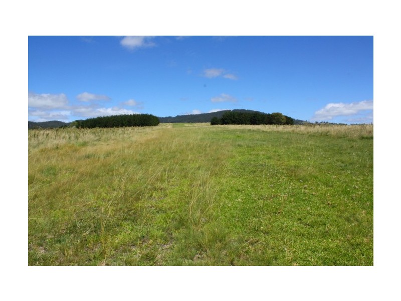 Tenterfield NSW 2372