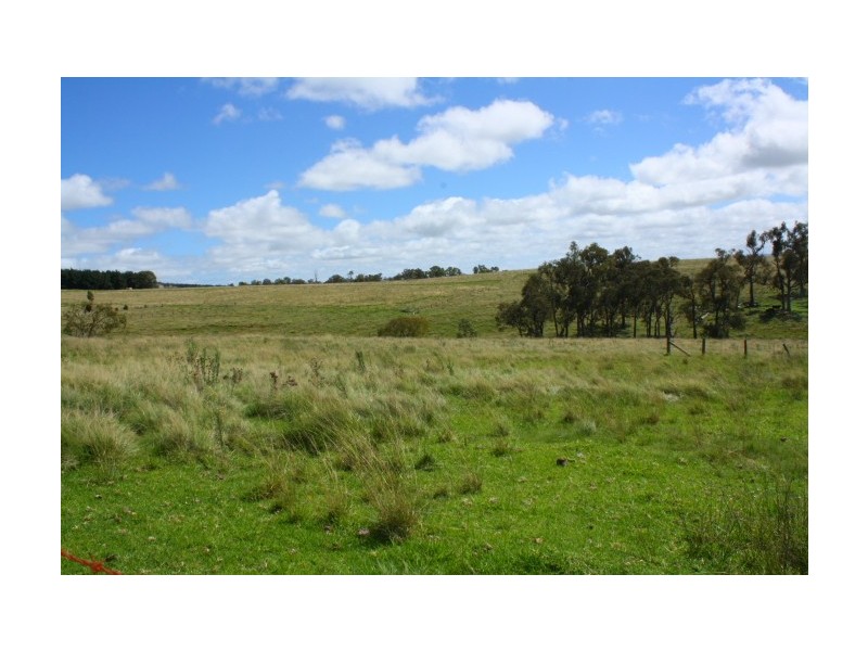 Tenterfield NSW 2372