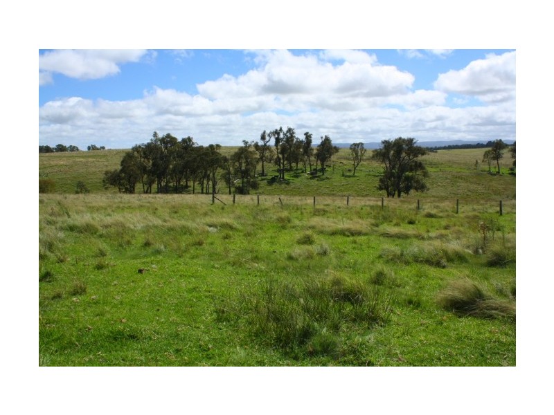 Tenterfield NSW 2372