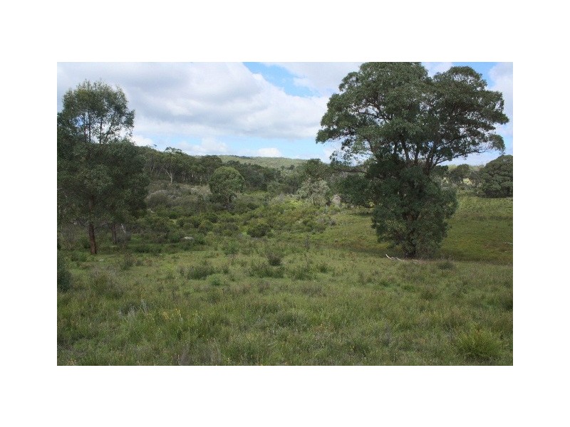 Tenterfield NSW 2372